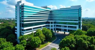 Singapore’S Leading Hospitals for Heart Surgery